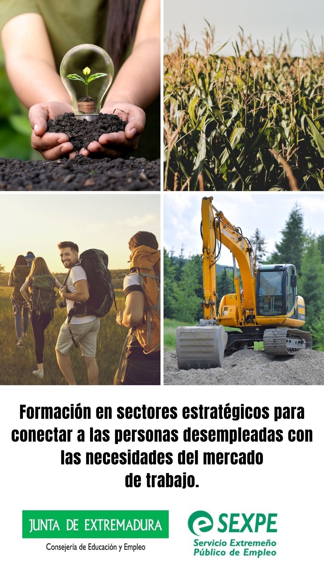 cartel derecho del estand